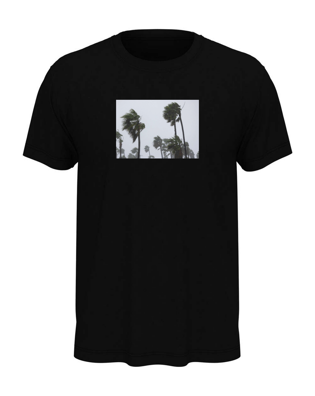 T-shirt "Palm trees"
