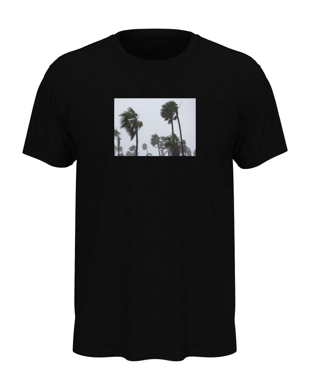 T-shirt "Palm trees"